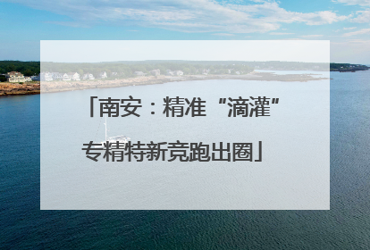 南安：精准“滴灌”专精特新竞跑出圈