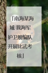 南海某海域 我海军护卫舰编队开展比武考核