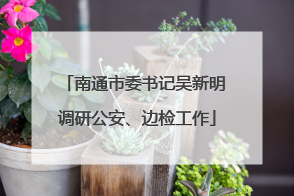 南通市委书记吴新明调研公安、边检工作