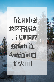 南阳市卧龙区石桥镇：迅速响应强降雨 连夜疏通河道护农田