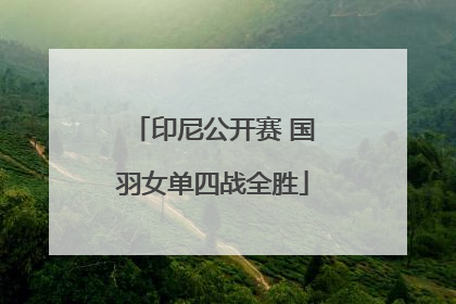 印尼公开赛 国羽女单四战全胜