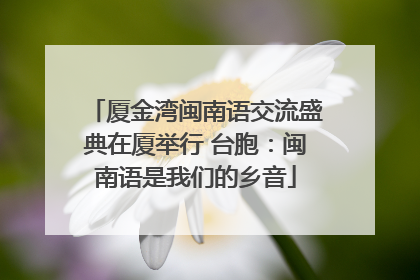 厦金湾闽南语交流盛典在厦举行 台胞：闽南语是我们的乡音