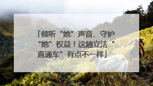 倾听“她”声音、守护“她”权益！这趟立法“直通车”有点不一样