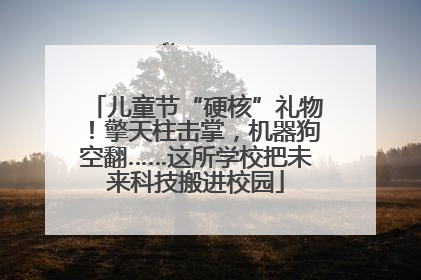 儿童节“硬核”礼物！擎天柱击掌，机器狗空翻……这所学校把未来科技搬进校园