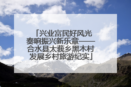 兴业富民好风光 奏响振兴新乐章——合水县太莪乡黑木村发展乡村旅游纪实
