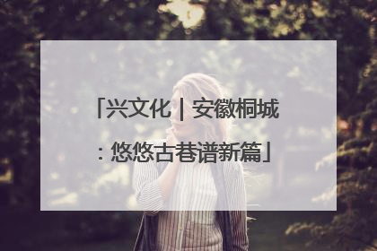 兴文化｜安徽桐城：悠悠古巷谱新篇
