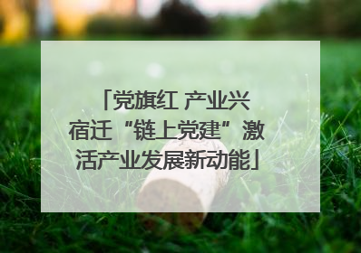 党旗红 产业兴 宿迁“链上党建”激活产业发展新动能