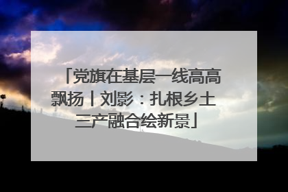 党旗在基层一线高高飘扬丨刘影：扎根乡土 三产融合绘新景