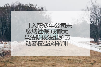 入职多年公司未缴纳社保 成都大邑法院依法维护劳动者权益这样判