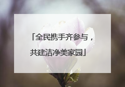 全民携手齐参与，共建洁净美家园