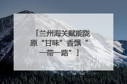 兰州海关赋能陇原“甘味”香飘“一带一路”