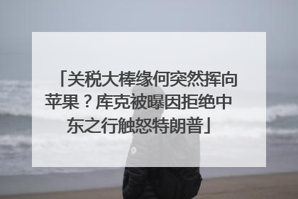 关税大棒缘何突然挥向苹果？库克被曝因拒绝中东之行触怒特朗普