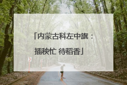 内蒙古科左中旗：插秧忙 待稻香