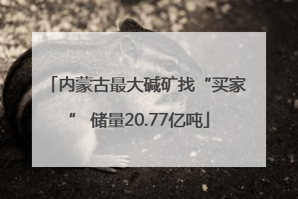 内蒙古最大碱矿找“买家” 储量20.77亿吨