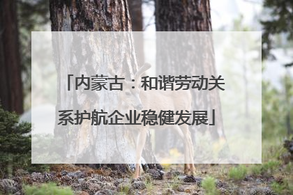 内蒙古：和谐劳动关系护航企业稳健发展