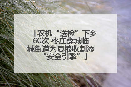 农机“送检”下乡60次 枣庄薛城临城街道为夏粮收割添“安全引擎”