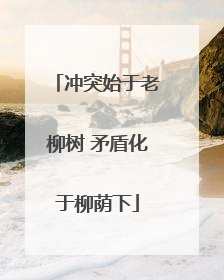 冲突始于老柳树 矛盾化于柳荫下