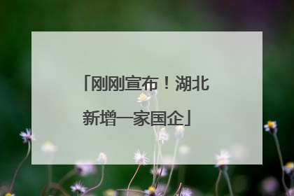 刚刚宣布！湖北新增一家国企