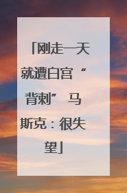刚走一天就遭白宫“背刺” 马斯克：很失望