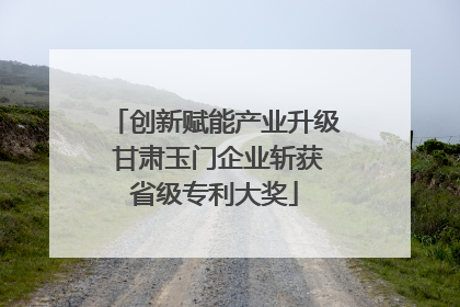 创新赋能产业升级 甘肃玉门企业斩获省级专利大奖