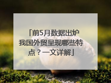 前5月数据出炉 我国外贸呈现哪些特点？一文详解