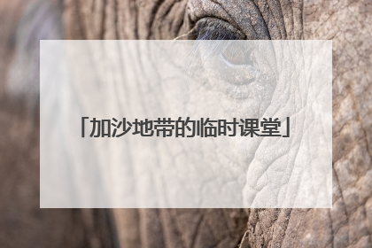 加沙地带的临时课堂