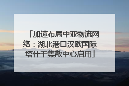 加速布局中亚物流网络：湖北港口汉欧国际塔什干集散中心启用