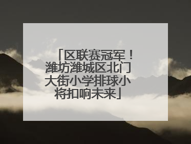 区联赛冠军！潍坊潍城区北门大街小学排球小将扣响未来