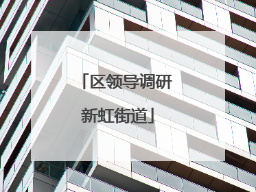 区领导调研新虹街道