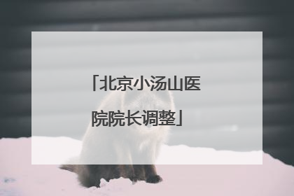 北京小汤山医院院长调整