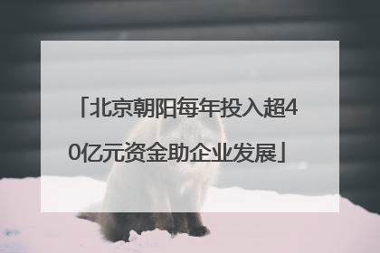 北京朝阳每年投入超40亿元资金助企业发展