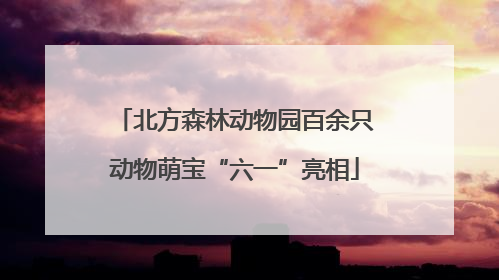 北方森林动物园百余只动物萌宝“六一”亮相