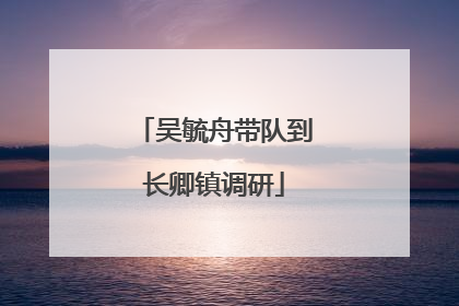 吴毓舟带队到长卿镇调研