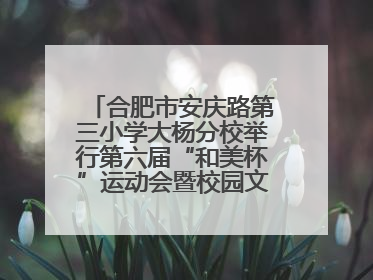 合肥市安庆路第三小学大杨分校举行第六届“和美杯”运动会暨校园文化艺术节