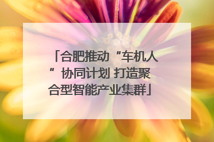 合肥推动“车机人”协同计划 打造聚合型智能产业集群
