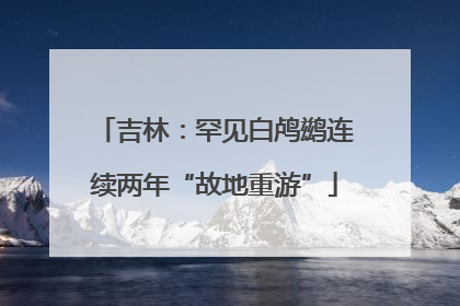 吉林：罕见白鸬鹚连续两年“故地重游”