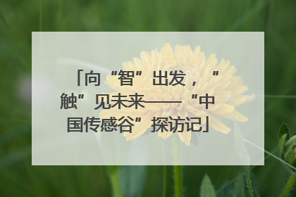 向“智”出发，“触”见未来——“中国传感谷”探访记