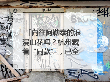 向往阿勒泰的浪漫山花吗？杭州藏着“同款”，已全面进入盛花期