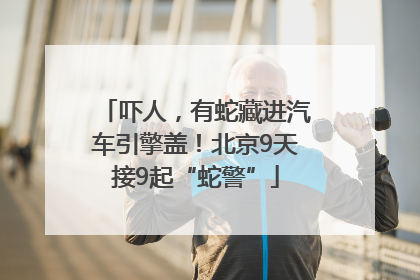 吓人，有蛇藏进汽车引擎盖！北京9天接9起“蛇警”