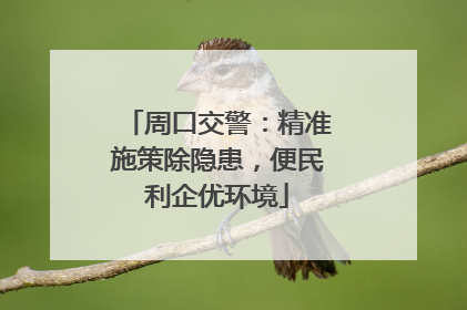 周口交警：精准施策除隐患，便民利企优环境