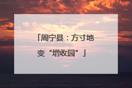 周宁县：方寸地变“增收园”