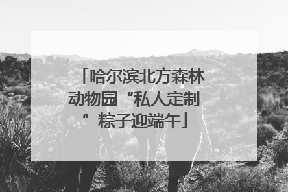 哈尔滨北方森林动物园“私人定制”粽子迎端午