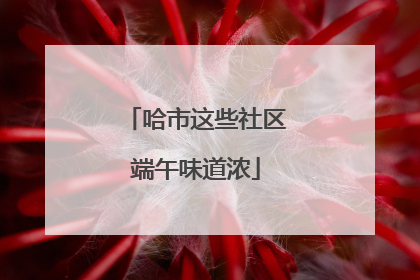 哈市这些社区端午味道浓