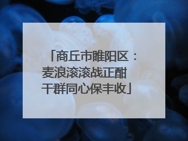 商丘市睢阳区：麦浪滚滚战正酣 干群同心保丰收