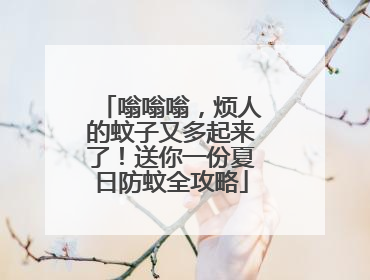 嗡嗡嗡，烦人的蚊子又多起来了！送你一份夏日防蚊全攻略