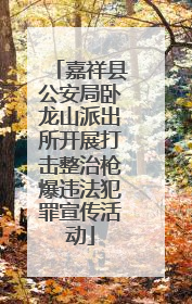 嘉祥县公安局卧龙山派出所开展打击整治枪爆违法犯罪宣传活动