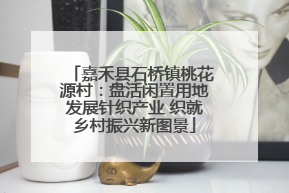 嘉禾县石桥镇桃花源村：盘活闲置用地发展针织产业 织就乡村振兴新图景