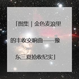 图集｜金色麦浪里的丰收交响曲——豫东三夏抢收纪实