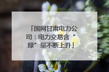 国网甘肃电力公司：电力交易含“绿”量不断上升