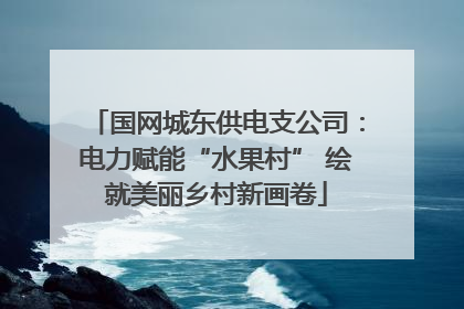 国网城东供电支公司：电力赋能“水果村” 绘就美丽乡村新画卷